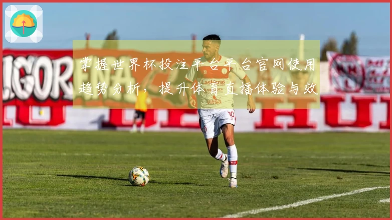 掌握世界杯投注平台平台官网使用趋势分析，提升体育直播体验与效率
