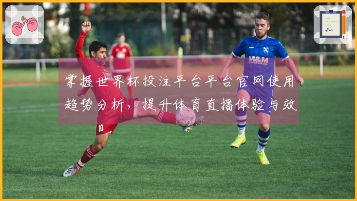 掌握世界杯投注平台平台官网使用趋势分析，提升体育直播体验与效率